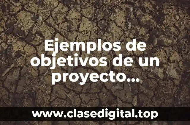 Ejemplos de objetivos de un proyecto empresarial
