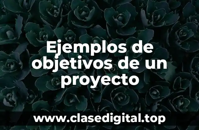 Ejemplos de objetivos de un proyecto