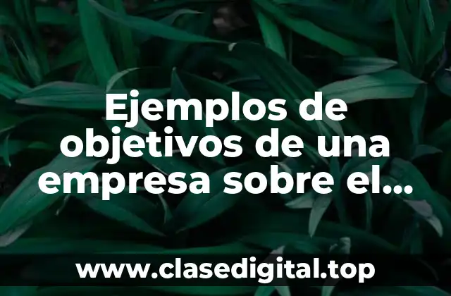 Ejemplos de objetivos de una empresa sobre el medio ambiente