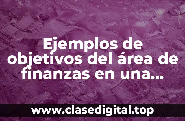 Ejemplos de objetivos del área de finanzas en una empresa y Significado