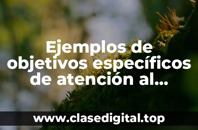 Ejemplos de objetivos específicos de atención al cliente