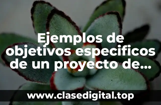 Ejemplos de objetivos específicos de un proyecto de circuitos electricos