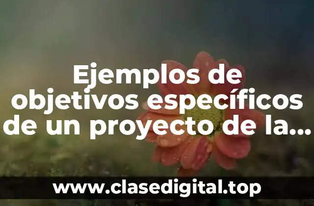Ejemplos de objetivos específicos de un proyecto de la empresa