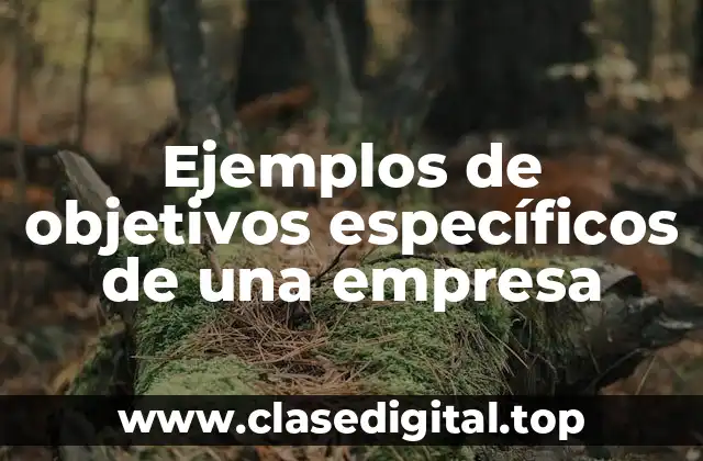 Ejemplos de objetivos específicos de una empresa