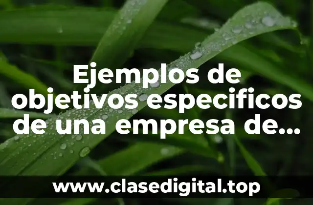 Ejemplos de objetivos especificos de una empresa de publicidad y Significado