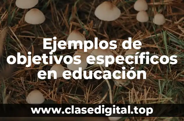 Ejemplos de objetivos específicos en educación