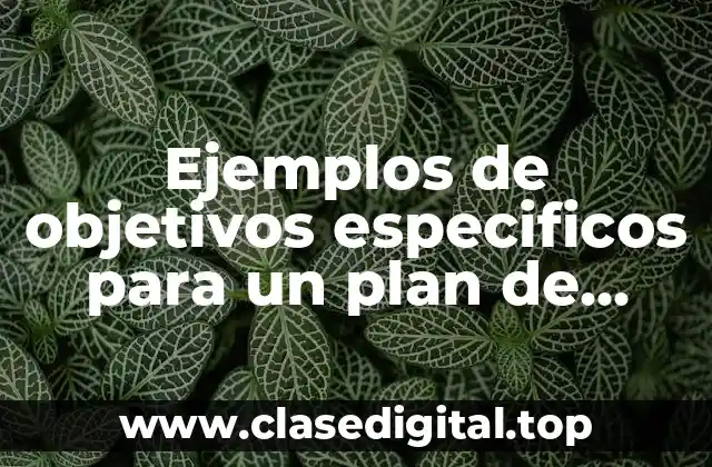 Ejemplos de objetivos especificos para un plan de marketing y Significado
