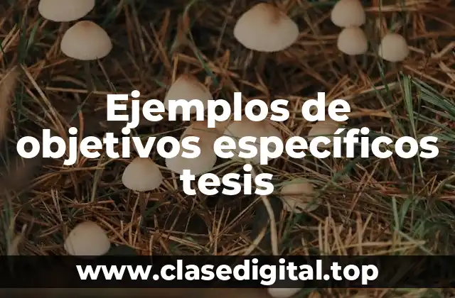 Ejemplos de objetivos específicos tesis