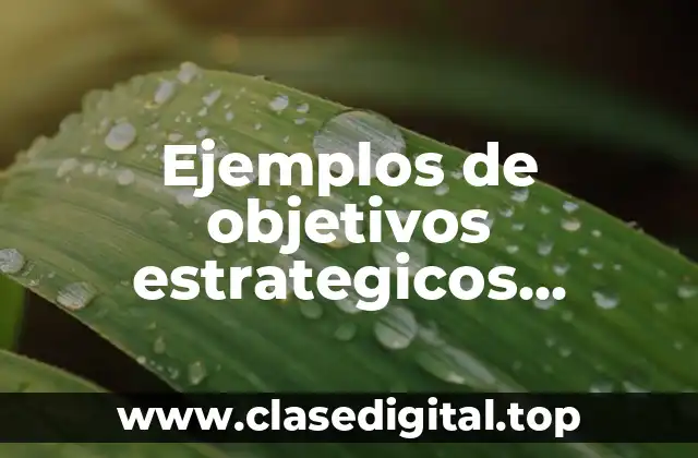 Ejemplos de objetivos estrategicos, tacticos y operativos