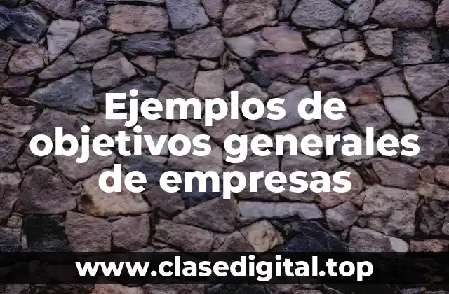 Ejemplos de objetivos generales de empresas
