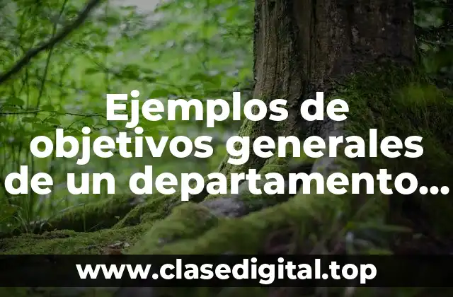 Ejemplos de objetivos generales de un departamento de trabajo social