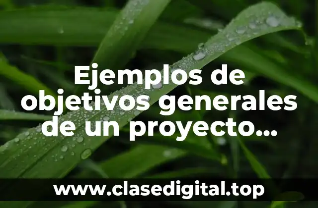 Ejemplos de objetivos generales de un proyecto educativo y Significado
