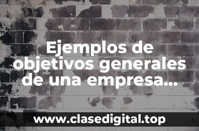 Ejemplos de objetivos generales de una empresa nueva