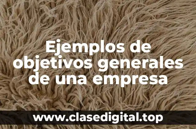 Ejemplos de objetivos generales de una empresa