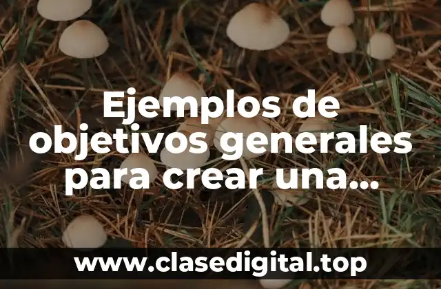 Ejemplos de objetivos generales para crear una empresa y Significado