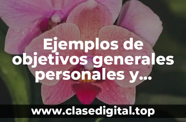 Ejemplos de objetivos generales personales