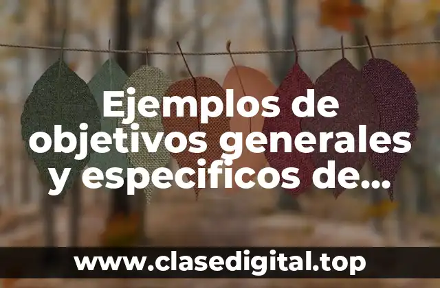 Ejemplos de objetivos generales y especificos de investigación y Significado