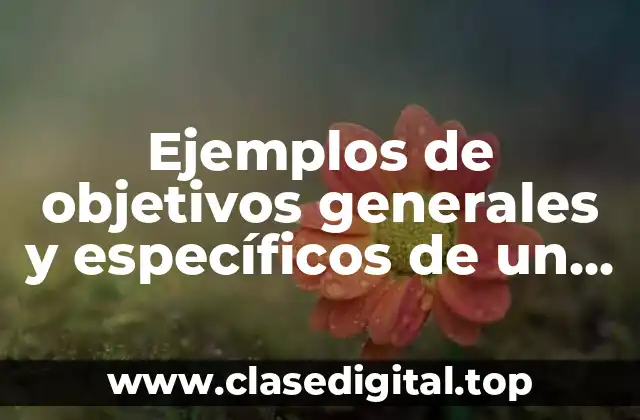 Ejemplos de objetivos generales y específicos de un proyecto educativo