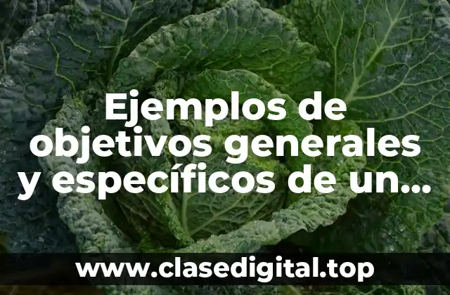 Ejemplos de objetivos generales y específicos de un proyecto productivo