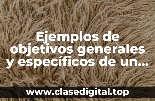 Ejemplos de objetivos generales y específicos de un proyecto social