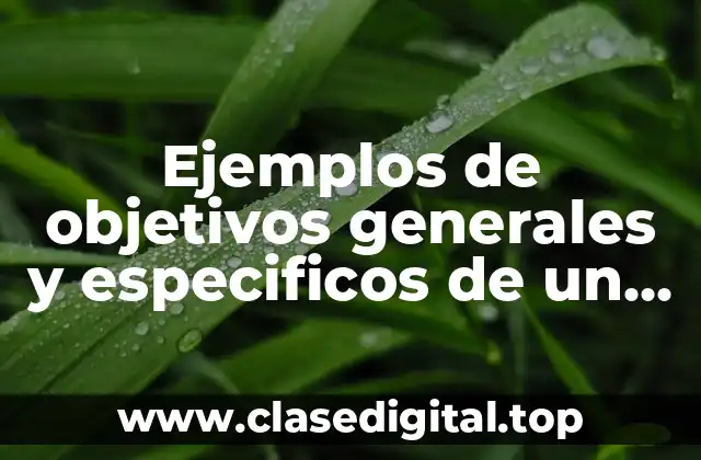 Ejemplos de objetivos generales y especificos de un proyecto sustentable