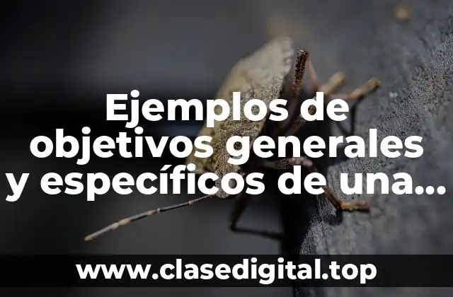 Ejemplos de objetivos generales y específicos de una campaña publicitaria
