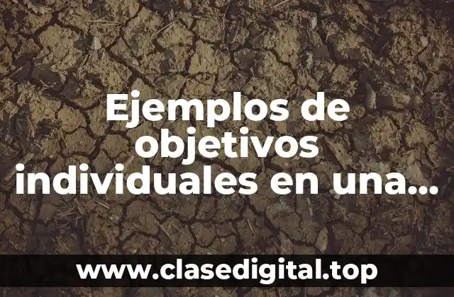 Ejemplos de objetivos individuales en una empresa
