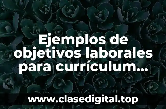 Ejemplos de objetivos laborales para currículum vitae