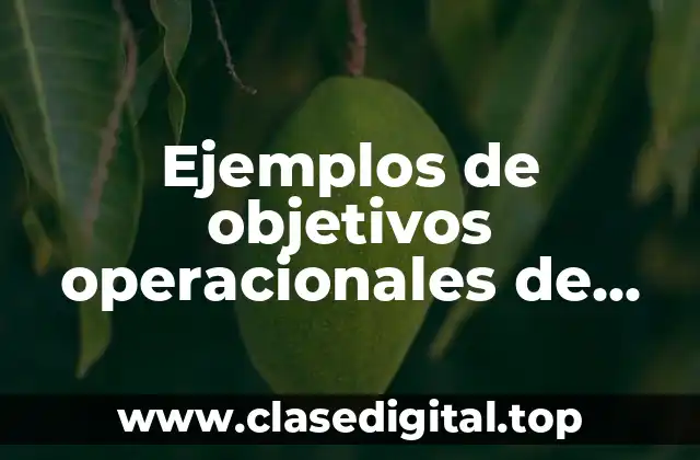 Ejemplos de objetivos operacionales de una empresa de servicios y Significado