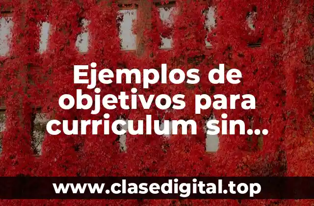 Ejemplos de objetivos para curriculum sin experiencia y Significado