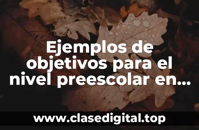 Ejemplos de objetivos para el nivel preescolar en carga administrativas