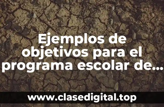 Ejemplos de objetivos para el programa escolar de mejora continua