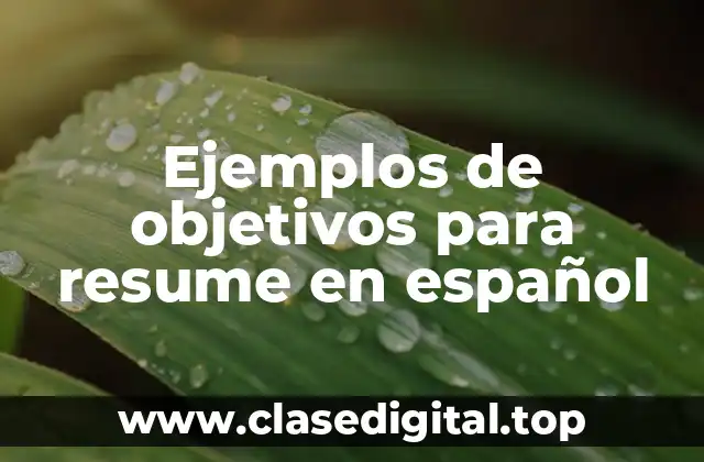 Ejemplos de objetivos para resume
