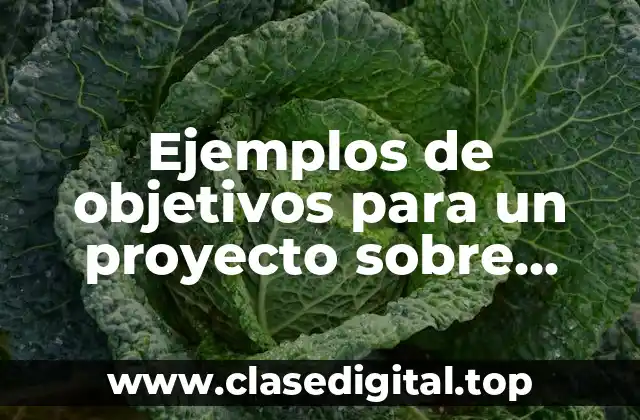 Ejemplos de objetivos para un proyecto de mejora escolar