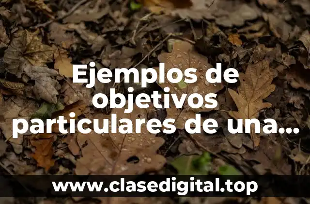 Ejemplos de objetivos particulares de una empresa