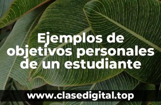 Ejemplos de objetivos personales de un estudiante