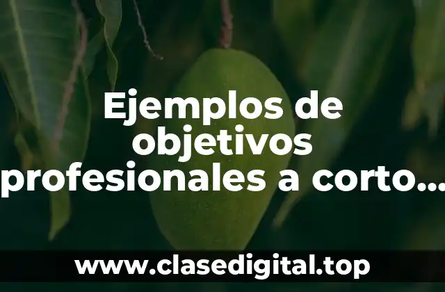 Ejemplos de objetivos profesionales a corto plazo