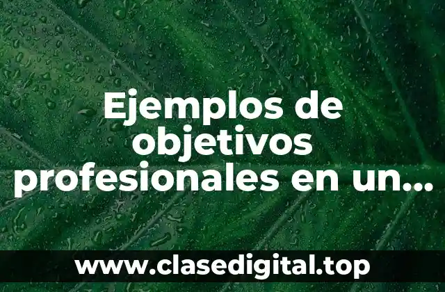 Ejemplos de objetivos profesionales en un curriculum