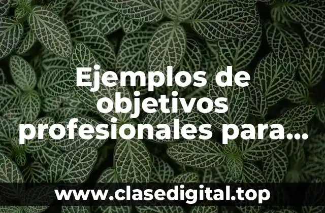 Ejemplos de objetivos profesionales para un curriculum y Significado