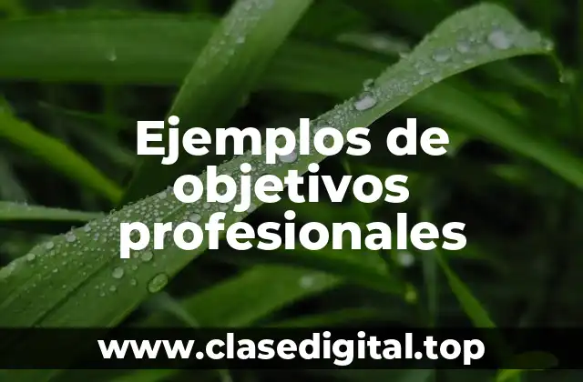 Ejemplos de objetivos profesionales