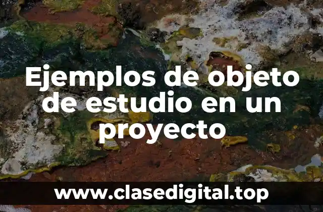 Ejemplos de objeto de estudio en un proyecto