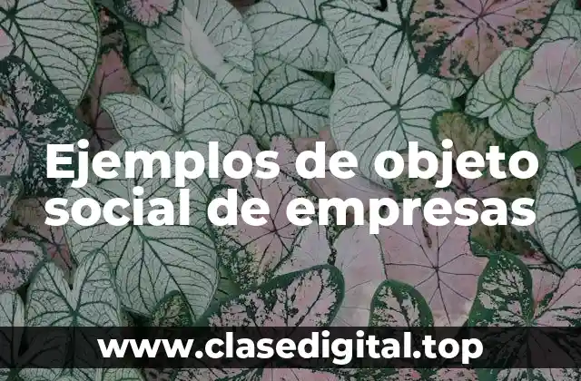 Ejemplos de objeto social de empresas