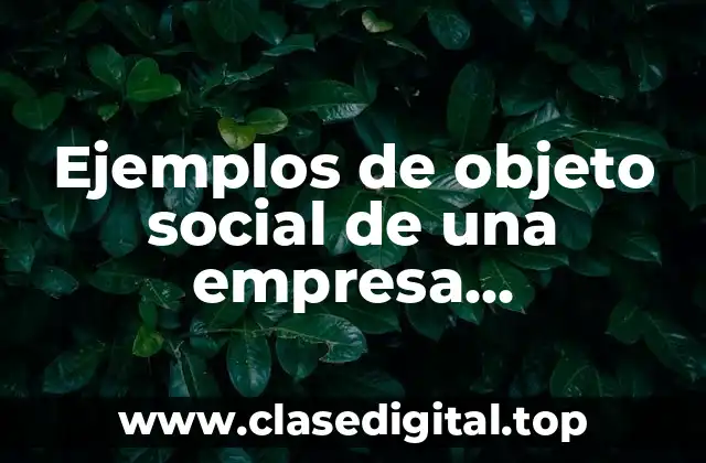 Ejemplos de objeto social de una empresa comercializadora