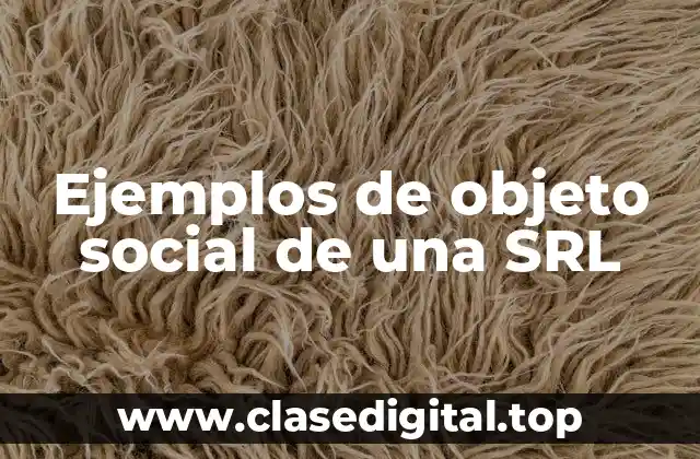 Ejemplos de objeto social de una SRL