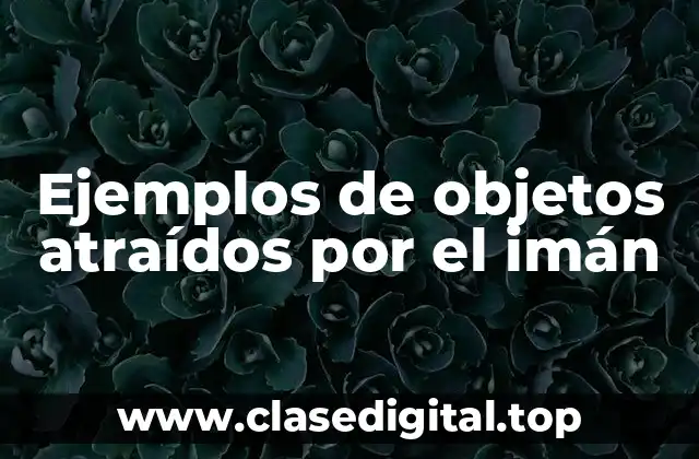 Ejemplos de objetos atraídos por el imán