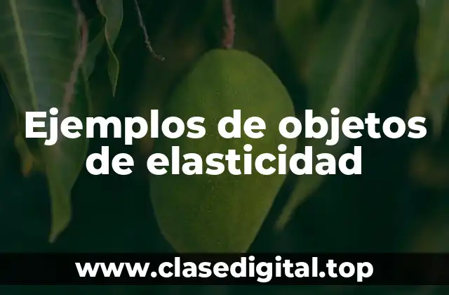Ejemplos de objetos de elasticidad
