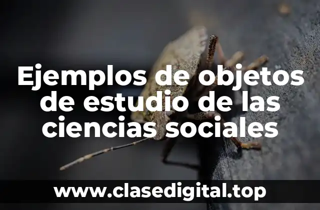 Ejemplos de objetos de estudio de las ciencias sociales