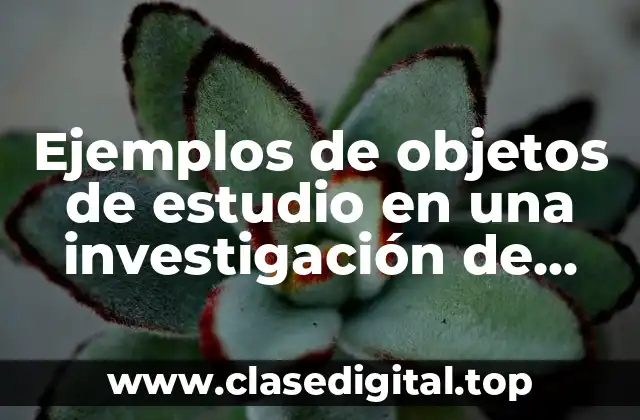 Ejemplos de objetos de estudio en una investigación de artes
