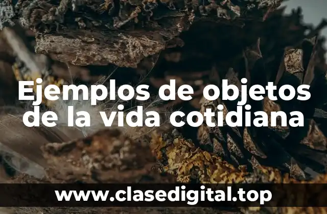 Ejemplos de objetos de la vida cotidiana