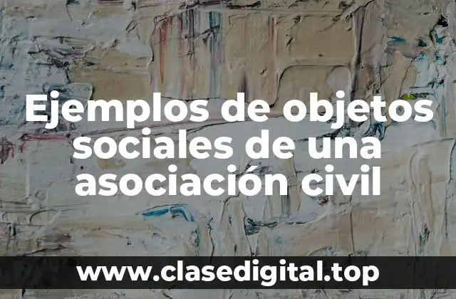 Ejemplos de objetos sociales de una asociación civil